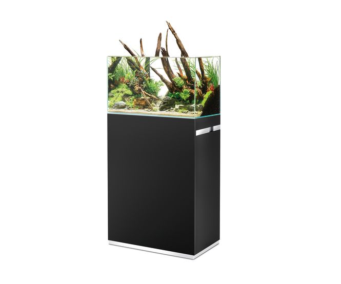 Hovedbilde Oase ScaperLine 60 Black  set