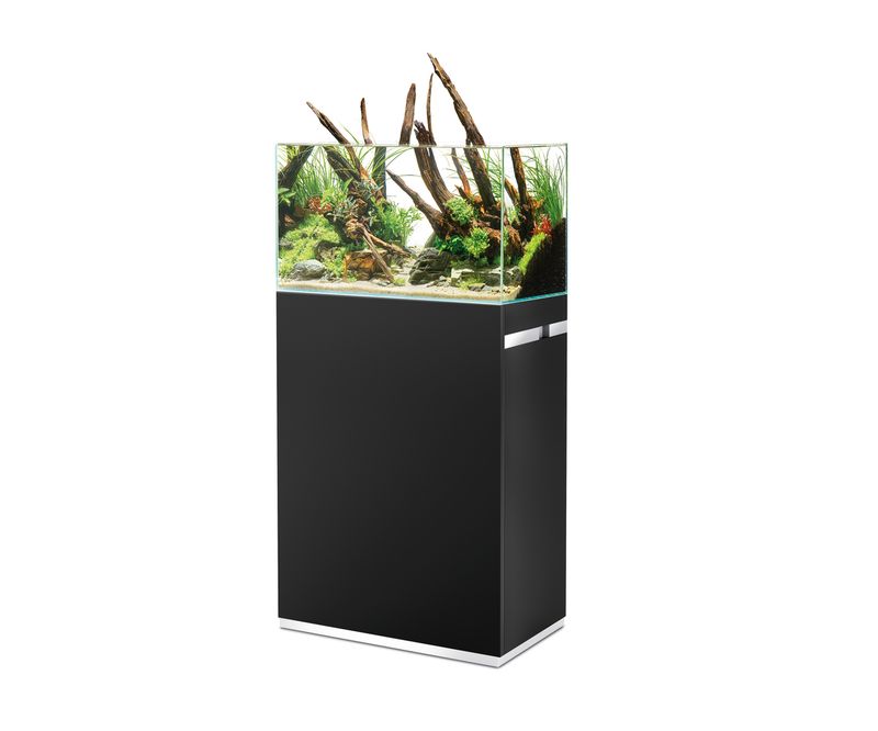 Oase ScaperLine 60 Black  set