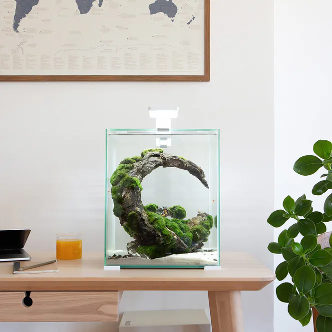 Hovedbilde Aquael Shrimpset Smart 2 Day & Night 30liter Svart 