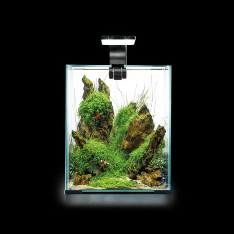 Aquael Shrimpset Smart 2 Day & Night 10liter Hvit 