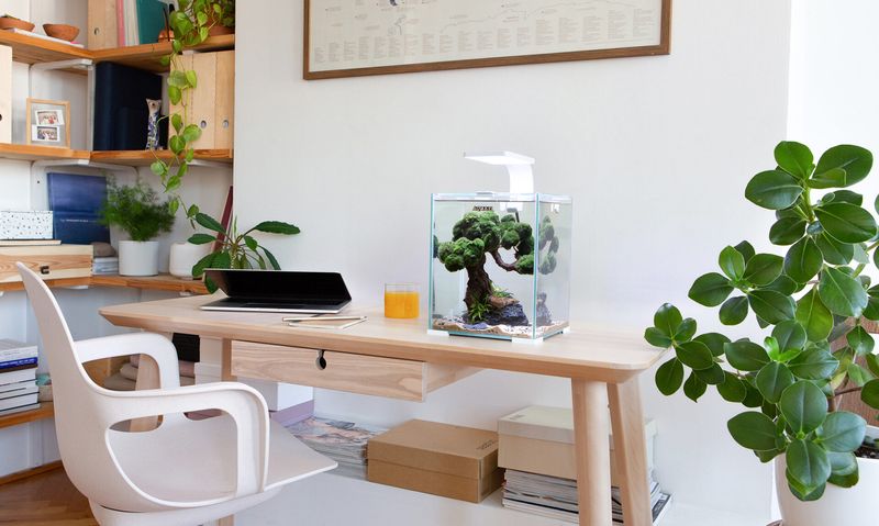 Aquael Shrimpset Smart 2 Day & Night 10liter Hvit 