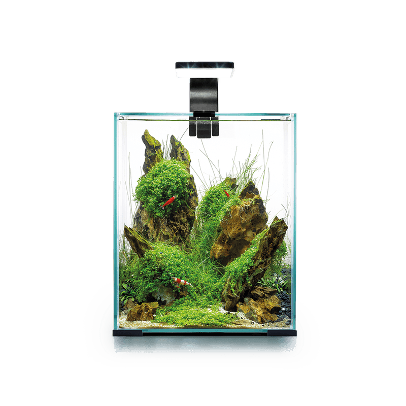 Aquael Shrimpset Smart 2 Day & Night 10liter Hvit 