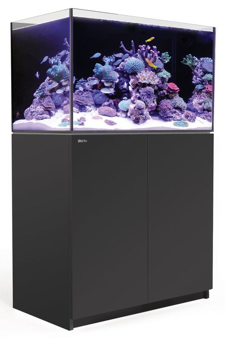 Hovedbilde Red Sea Reefer 250 V3 Sort 