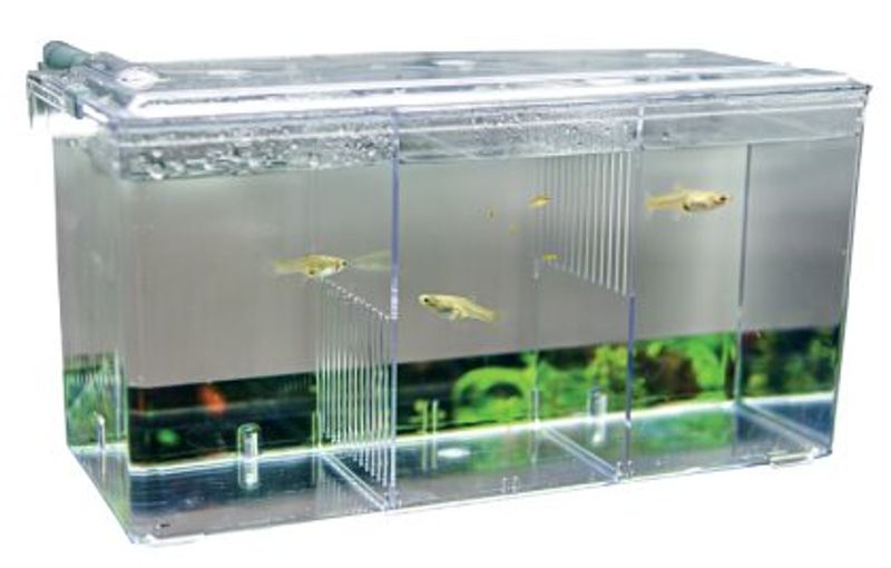 Hobby Nido 5