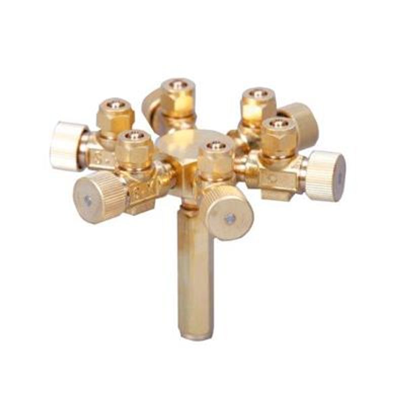 CO2 6-VEIS REGULATOR