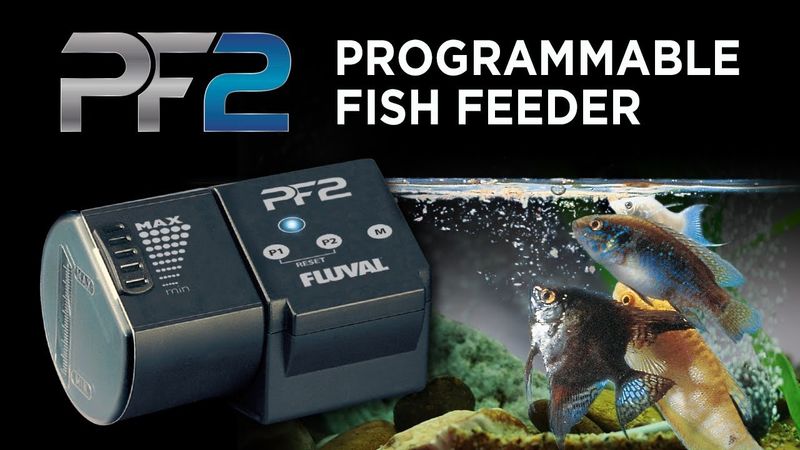 FLUVAL PF2 FORINGS AUTOMAT
