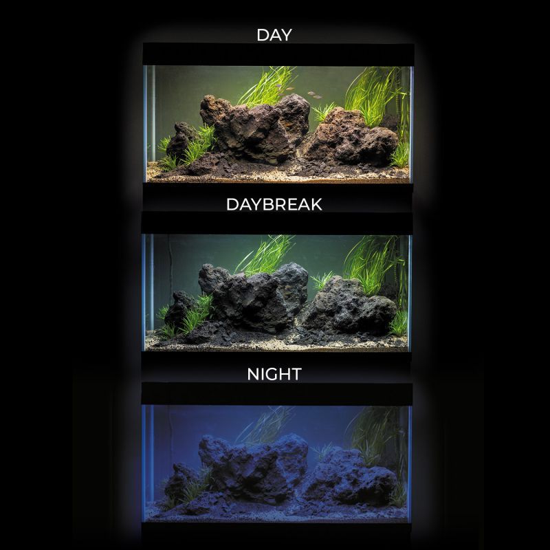 Aquael Optiset akvarium 125 Svart