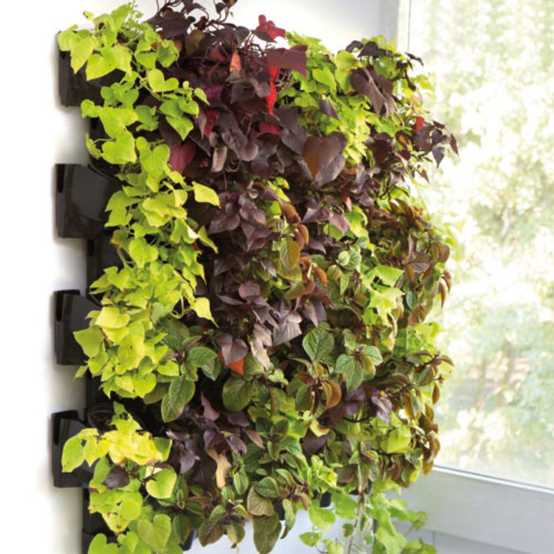 Versa Garden - Green Wall