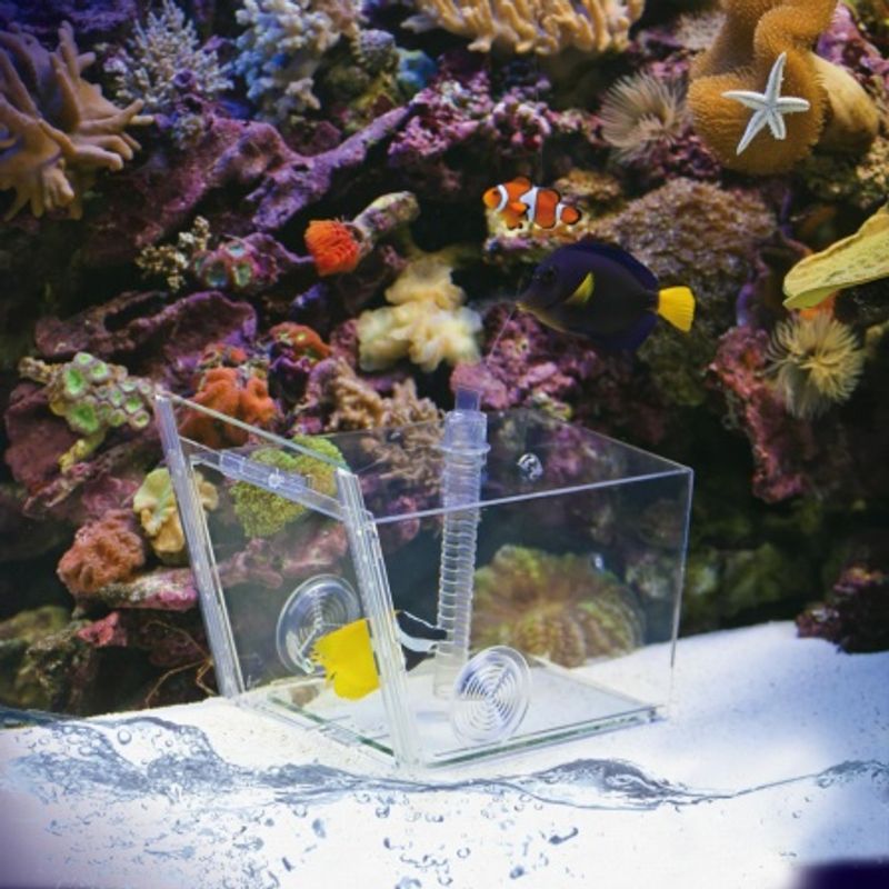 Aqua medic Fish Trap 