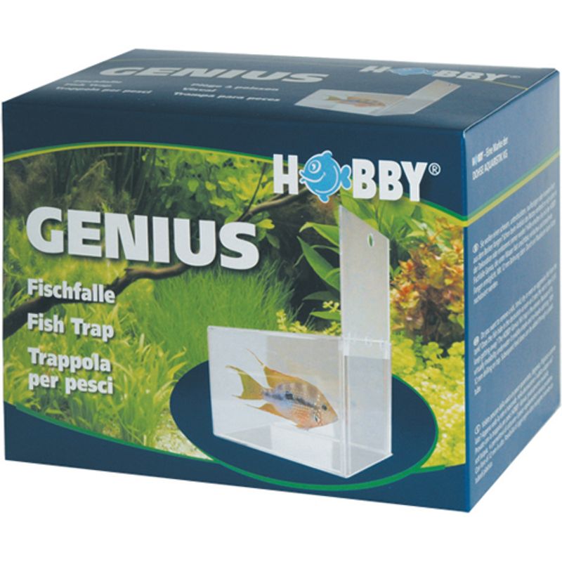 Hobby Geni, Fiskefelle