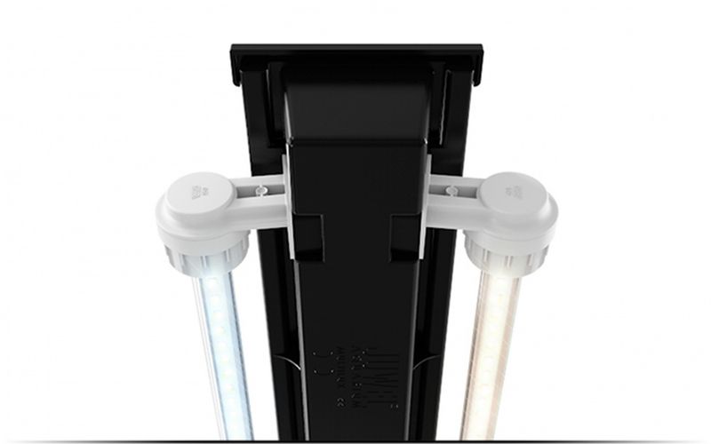 Rio 125 LED Eik