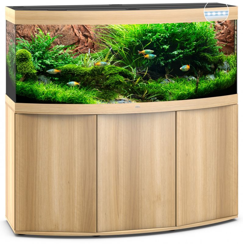 Vision 450 LED Eik