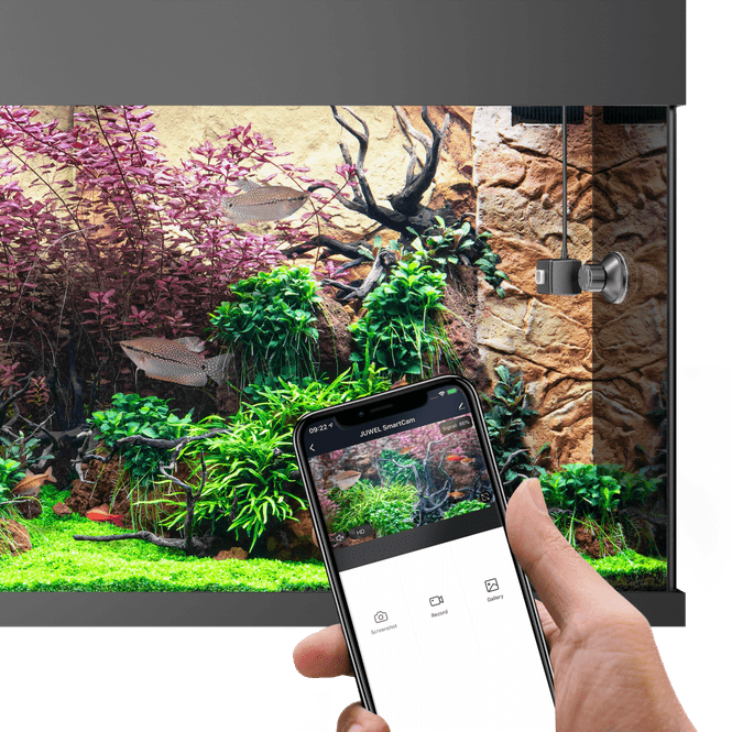 Hovedbilde JUWEL SMARTCAM 