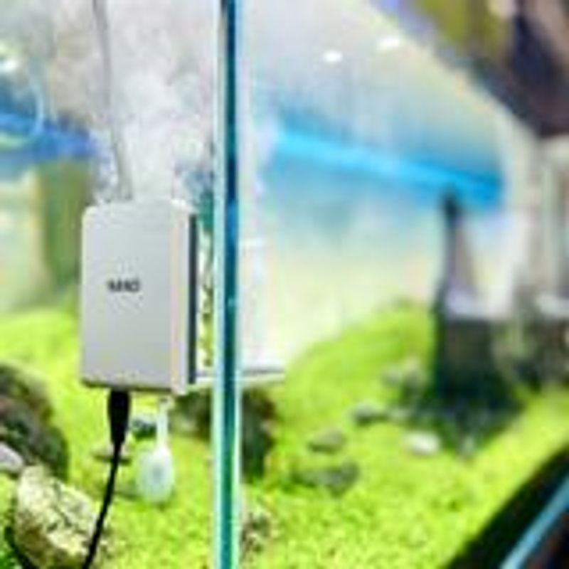 Twinstar Nano 