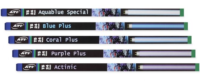Hovedbilde True Actinic (24