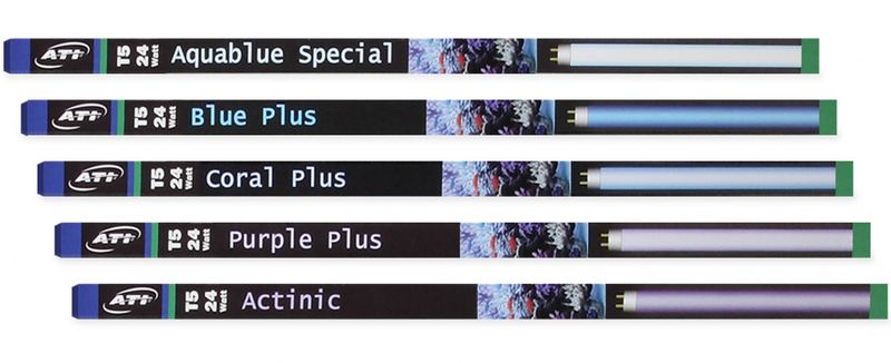 Blue Plus (24