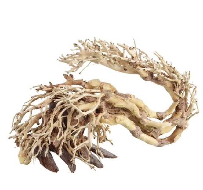 Hovedbilde Dragon wood Medium 30x23cm 