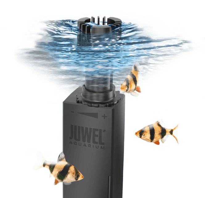 Hovedbilde Juwel Eccoskim