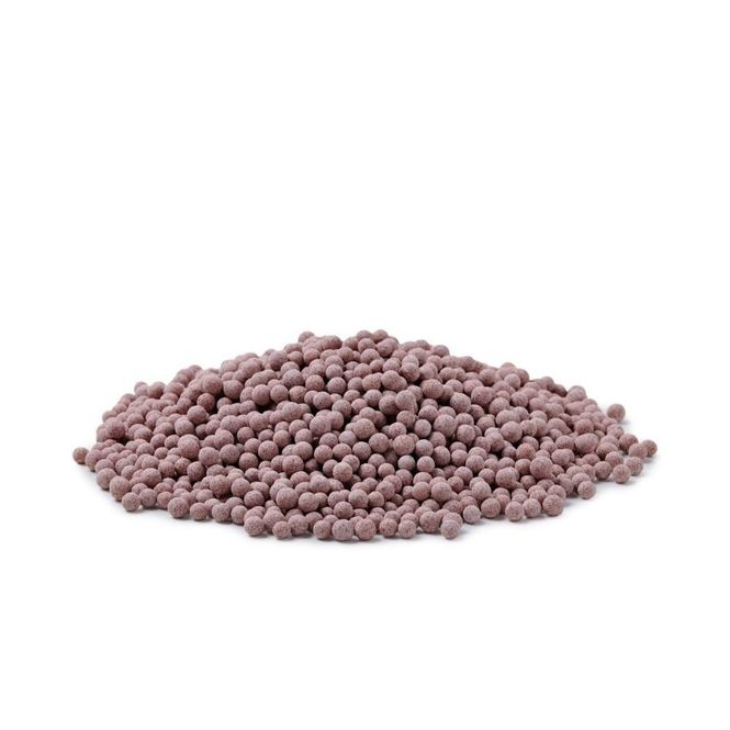 Hovedbilde Oase BioPearls 1 Liter 