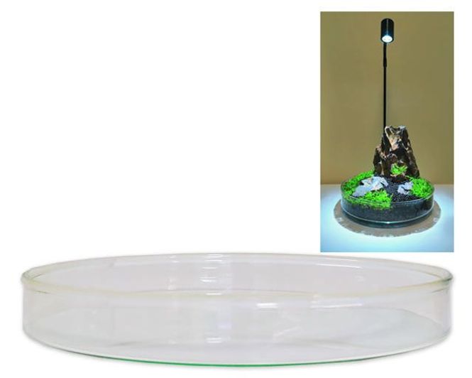 Hovedbilde Wabi-Kusa glass bowl 18cm x 2cm