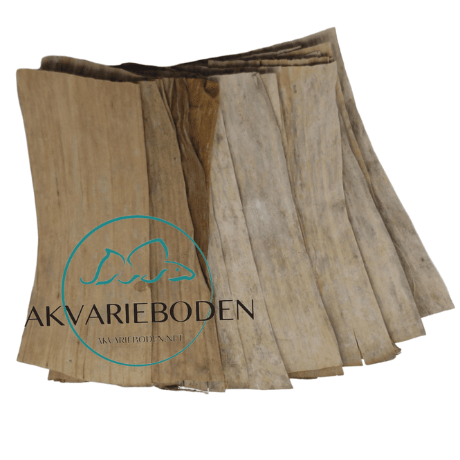 Hovedbilde Banan blader 10pk