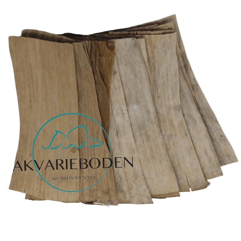 Banan blader 10pk
