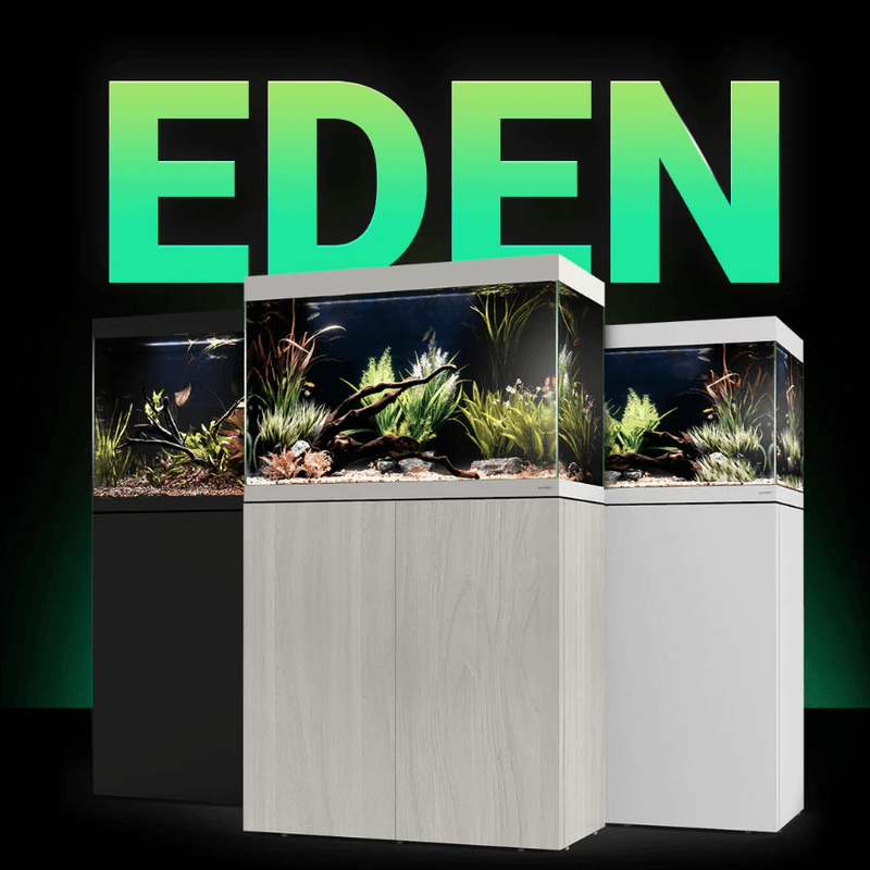 Waterbox Eden 30 Black
