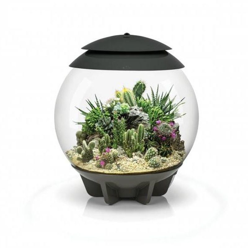 Oase Biorb air 30liter Sort 