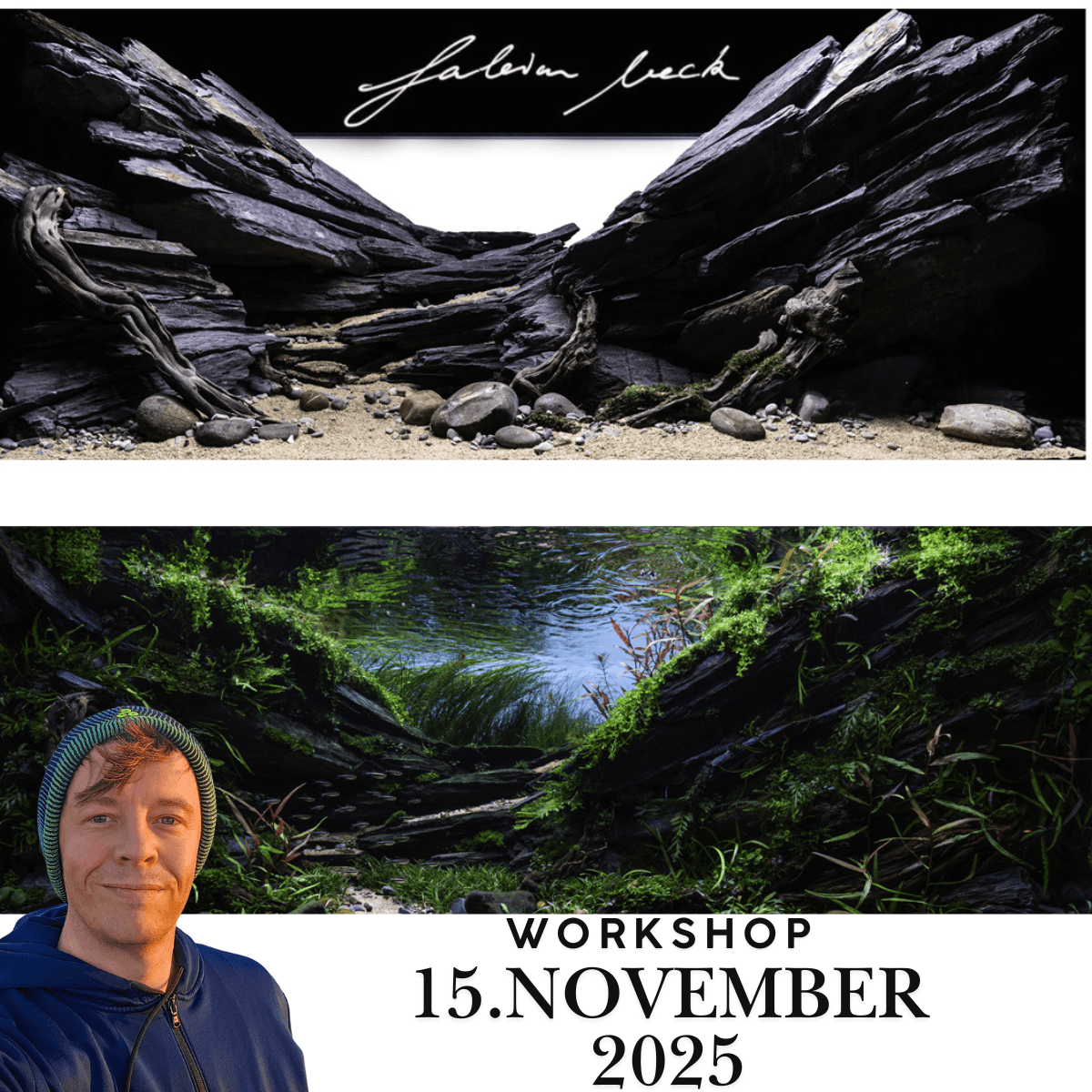 Workshop  Fabian Beck 15 November 2025 