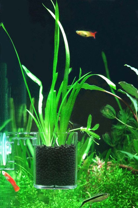 Ziss SF-0 (0.13mm) BBS Feeding Cup / Plant Pot
