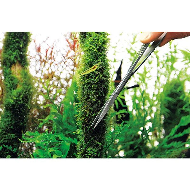 ADA Pro-Scissors Spring Straight 16cm 