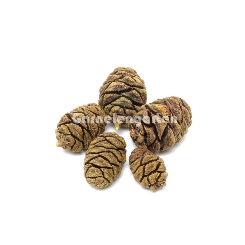 AB Sequoia Kongler  1pk