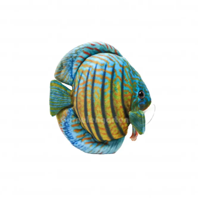 Hovedbilde Green Pleco Discus Fish Plush