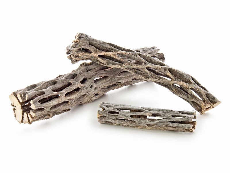 Cholla wood 15cm 
