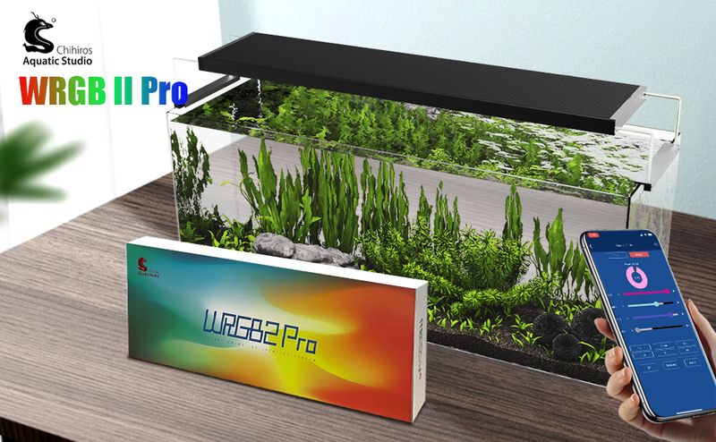 Chihiros WRGB II Pro 60 cm
