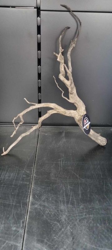 Polished Super Black Wood Medium