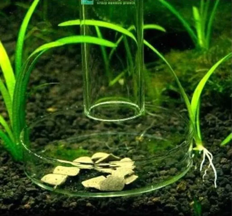 AB GLASS FEEDER PLATE + FEEDER TUBE 25 CM