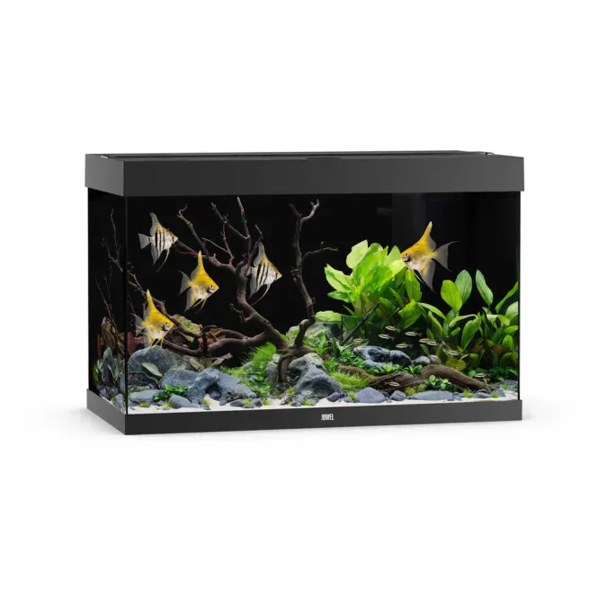 Hovedbilde Juwel Akvarium Led Rio 290 Svart