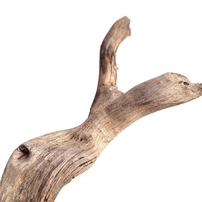 Hovedbilde Wio Neptune Wood 80-100cm