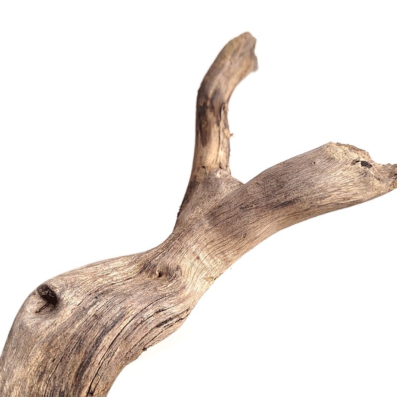 Wio Neptune Wood 80-100cm