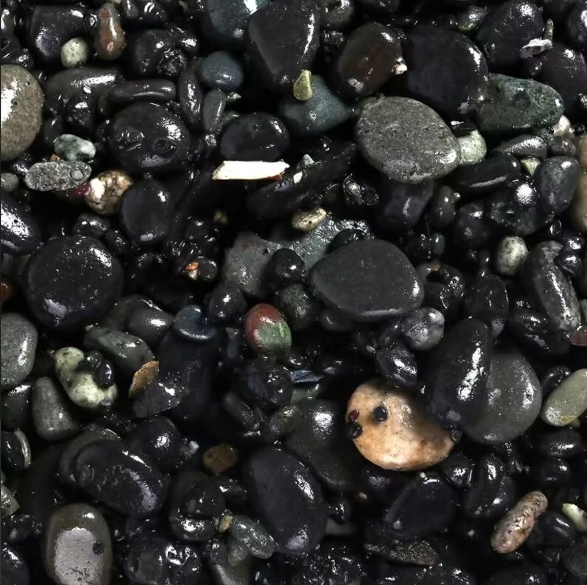 Akvarie Grus Vulcano Sort 2-5mm 10kg