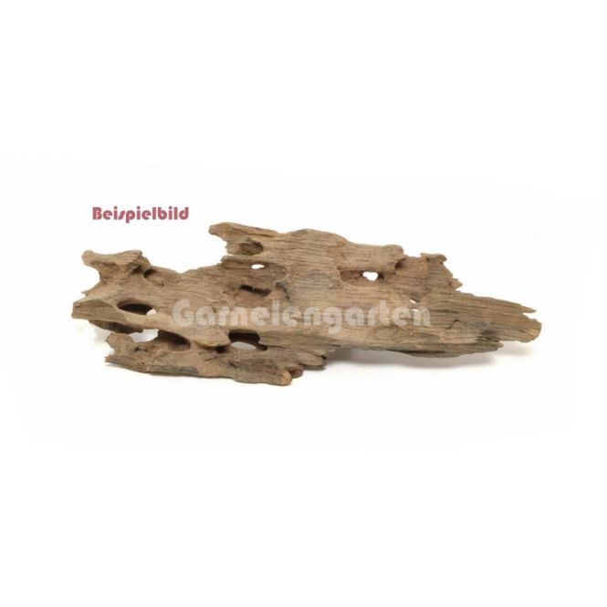 Hovedbilde Dragon Wood small
