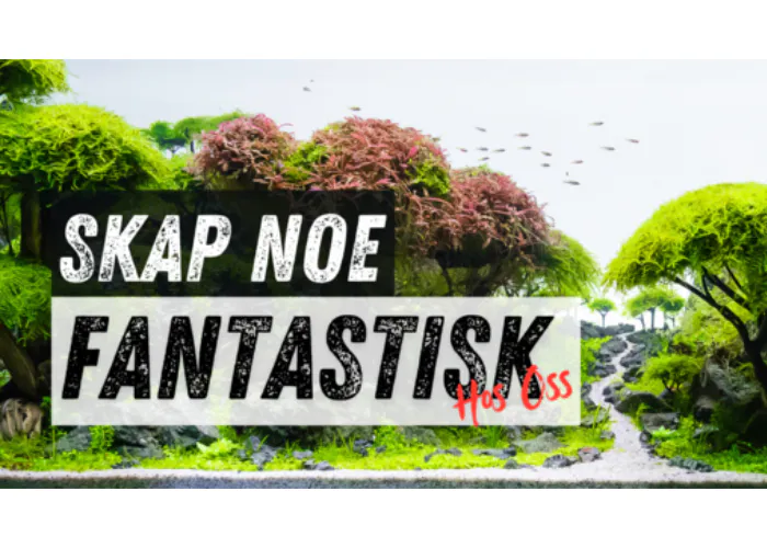 Aquascaping produkter for akvarium, naturstein, røtter og bunnsubstrat fra Akvarieboden