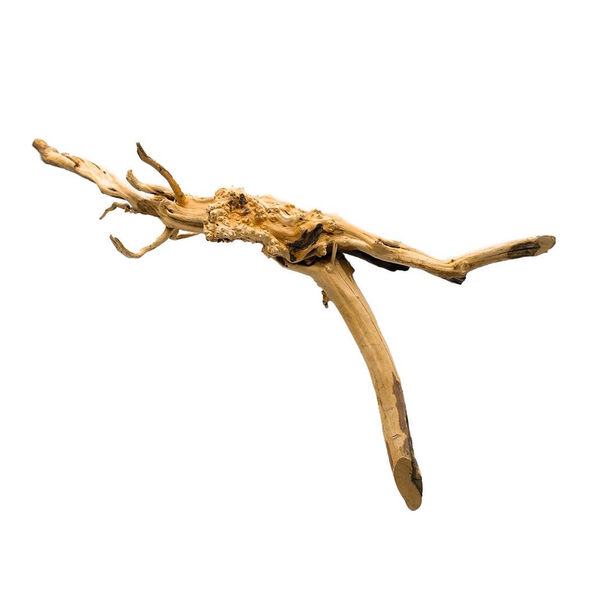 Coral Sinker Wood small