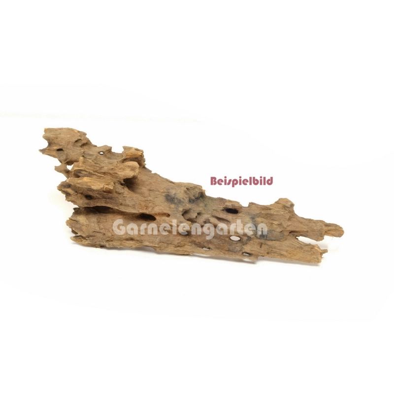 Dragon Wood Medium 