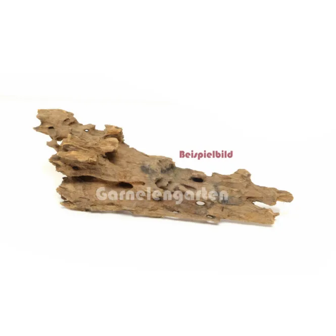 Hovedbilde Dragon Wood small
