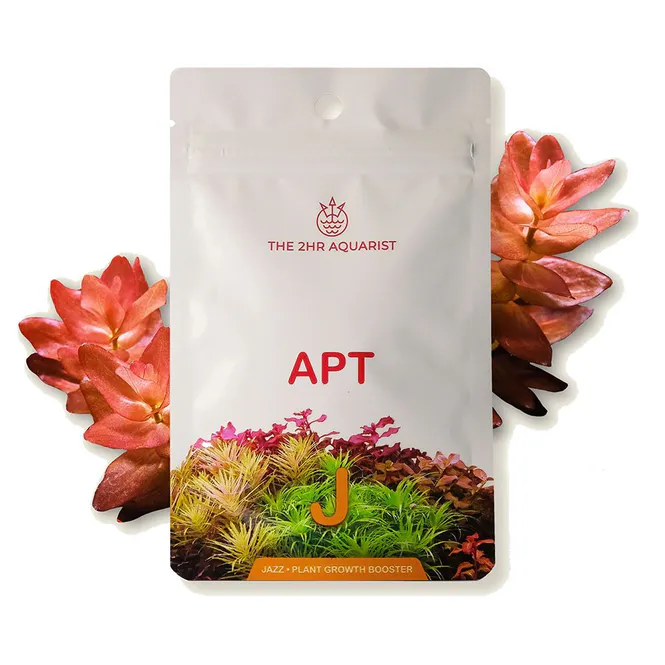 Hovedbilde 2hr APT Jazz - 18 pk