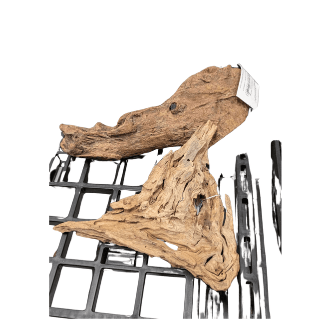 Hovedbilde Nansei wood Small 10-23cm 