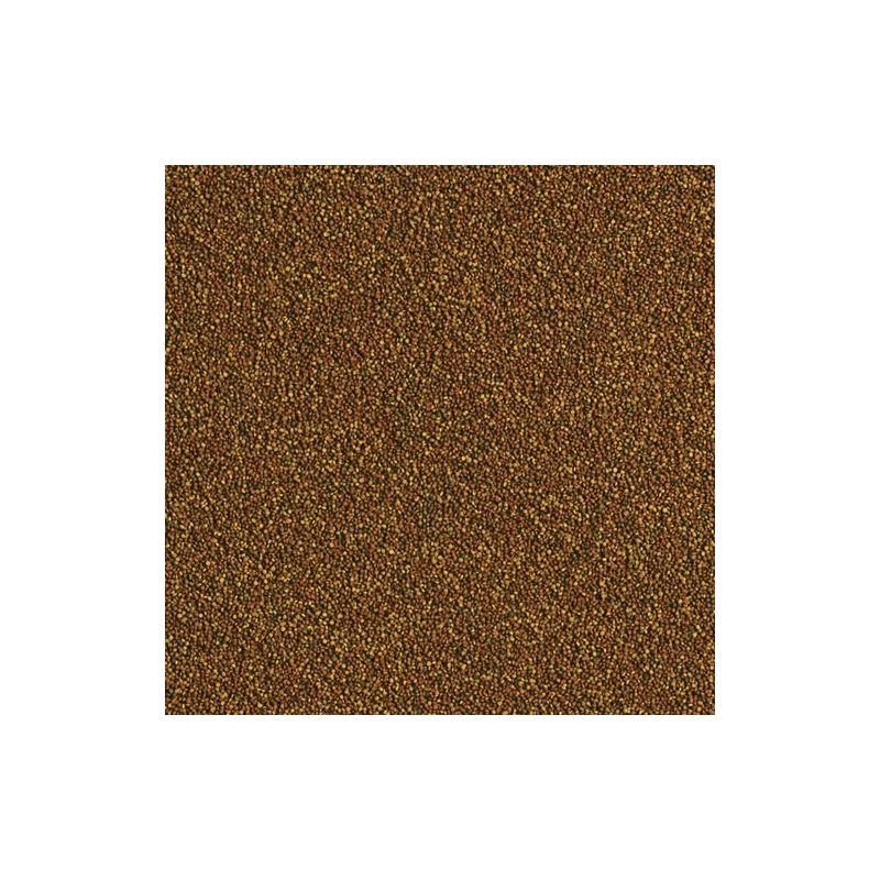 Tropical Triops 10 g