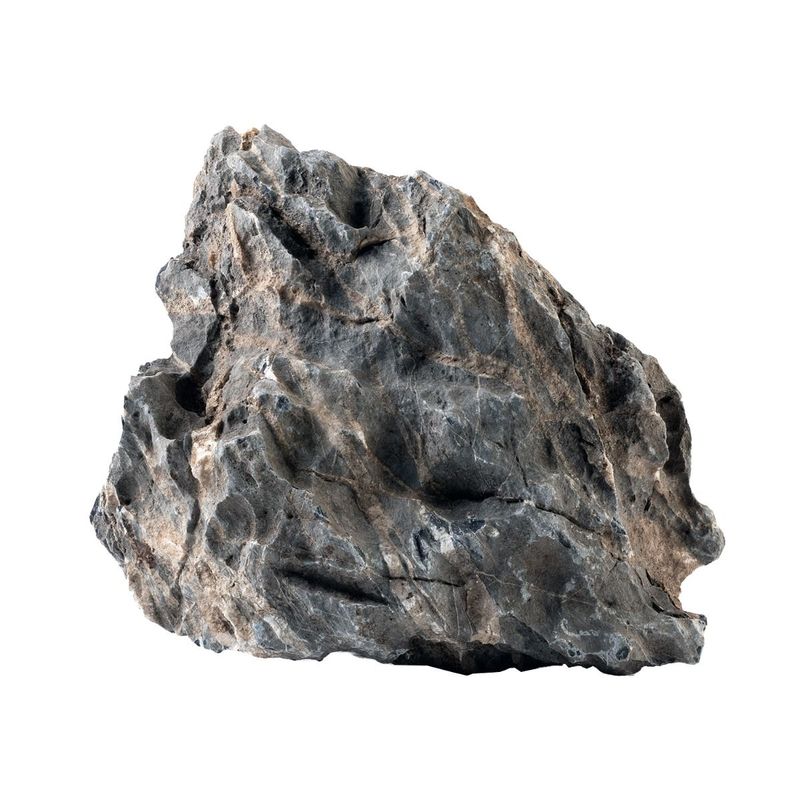 Seiryu Ryuoh Mini-Landscape stein 